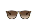 Ray-Ban Erika Sonnenbrille RB 4171 865/13