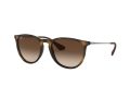 Ray-Ban Erika Sonnenbrille RB 4171 865/13