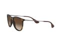 Ray-Ban Erika Sonnenbrille RB 4171 865/13
