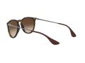 Ray-Ban Erika Sonnenbrille RB 4171 865/13