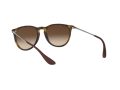 Ray-Ban Erika Sonnenbrille RB 4171 865/13