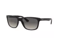 Ray-Ban Rb4181 Sonnenbrille RB 4181 601/71