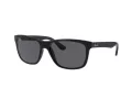Ray-Ban Rb4181 Sonnenbrille RB 4181 601/87