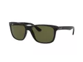 Ray-Ban Rb4181 Sonnenbrille RB 4181 601/9A