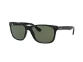 Ray-Ban Rb4181 Sonnenbrille RB 4181 601