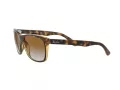 Ray-Ban Rb4181 Sonnenbrille RB 4181 710/51