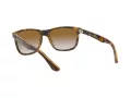 Ray-Ban Rb4181 Sonnenbrille RB 4181 710/51