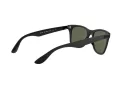 Ray-Ban Wayfarer Liteforce Sonnenbrille RB 4195 601S/9A