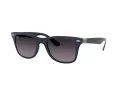 Ray-Ban Wayfarer Liteforce Sonnenbrille RB 4195 6331/8G