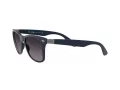 Ray-Ban Wayfarer Liteforce Sonnenbrille RB 4195 6331/8G