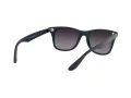 Ray-Ban Wayfarer Liteforce Sonnenbrille RB 4195 6331/8G