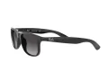 Ray-Ban Andy Sonnenbrille RB 4202 601/8G