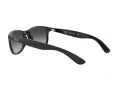 Ray-Ban Andy Sonnenbrille RB 4202 601/8G
