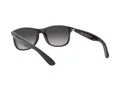 Ray-Ban Andy Sonnenbrille RB 4202 601/8G