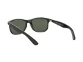 Ray-Ban Andy Sonnenbrille RB 4202 606971