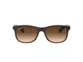 Ray-Ban Andy Sonnenbrille RB 4202 607313