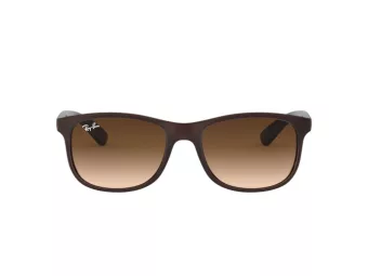 Ray-Ban Andy Sonnenbrille RB 4202 607313