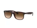 Ray-Ban Andy Sonnenbrille RB 4202 607313