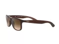 Ray-Ban Andy Sonnenbrille RB 4202 607313