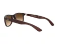 Ray-Ban Andy Sonnenbrille RB 4202 607313