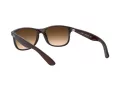 Ray-Ban Andy Sonnenbrille RB 4202 607313