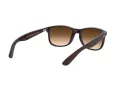 Ray-Ban Andy Sonnenbrille RB 4202 607313