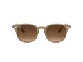 Ray-Ban Sonnenbrille 4259 616613