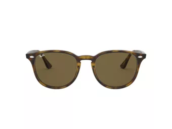 Ray-Ban Sonnenbrille RB 4259 710/73