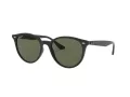 Ray-Ban Sonnenbrille RB 4305 601/9A