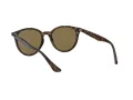 Ray-Ban Sonnenbrille RB 4305 710/73