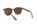 Ray-Ban Sonnenbrille RB 4305 820/73