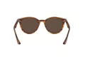 Ray-Ban Sonnenbrille RB 4305 820/73