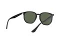 Ray-Ban Sonnenbrille RB 4306 601/71
