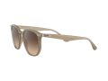 Ray-Ban Sonnenbrille RB 4306 616613
