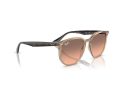 Ray-Ban Sonnenbrille RB 4306 678846