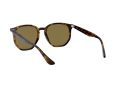 Ray-Ban Sonnenbrille RB 4306 710/73