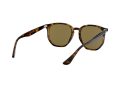 Ray-Ban Sonnenbrille RB 4306 710/73
