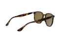 Ray-Ban Sonnenbrille RB 4306 710/73