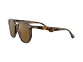 Ray-Ban Sonnenbrille RB 4306 710/83