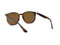 Ray-Ban Sonnenbrille RB 4306 710/83