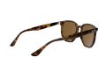 Ray-Ban Sonnenbrille RB 4306 710/83