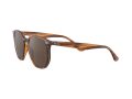 Ray-Ban Sonnenbrille RB 4306 820/73