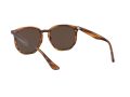 Ray-Ban Sonnenbrille RB 4306 820/73