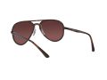 Ray-Ban Sonnenbrille RB 4320/CH 710/6B