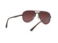 Ray-Ban Sonnenbrille RB 4320/CH 710/6B