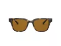 Ray-Ban Sonnenbrille RB 4323 710/33