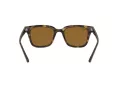 Ray-Ban Sonnenbrille RB 4323 710/33