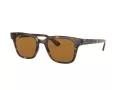 Ray-Ban Sonnenbrille RB 4323 710/83