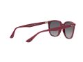 Ray-Ban Sonnenbrille RB 4362 6383/T3