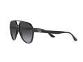 Ray-Ban Sonnenbrille RB 4376 601/8G